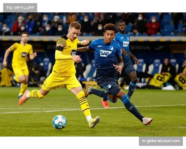 霍芬海姆主场胜率超六成，进攻端火力充足防守稳固